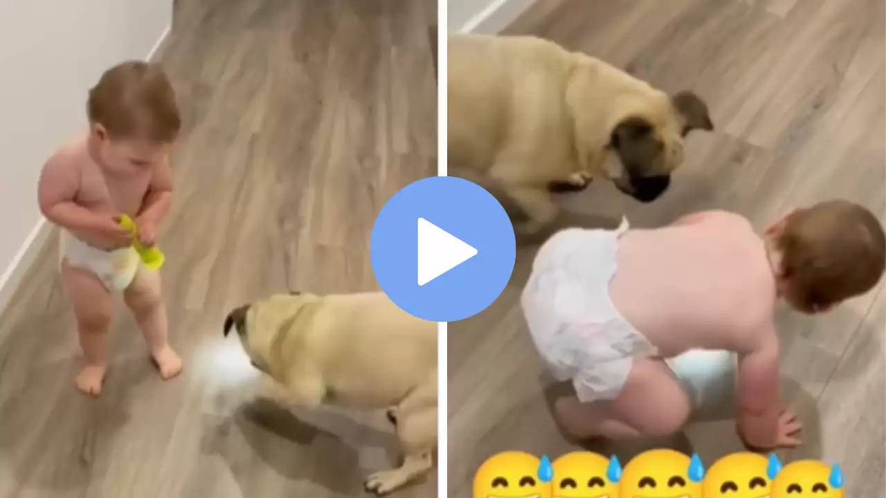 Viral Video: छोटे से बच्चे ने डॉगी को डाल दिया चकरघन्नी में, वीडियो देख हंसते-हंसते हो जाएंगे लोटपोट!