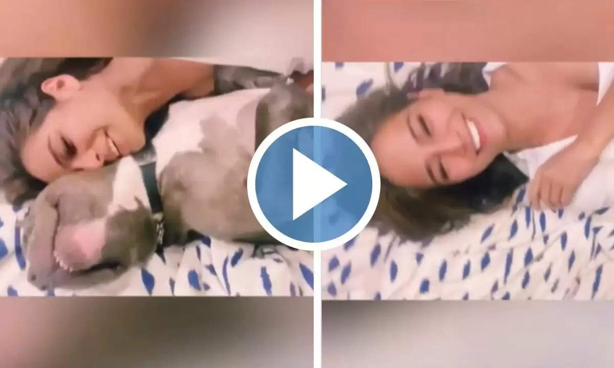 Poonam Pandey Hot Video With Dog